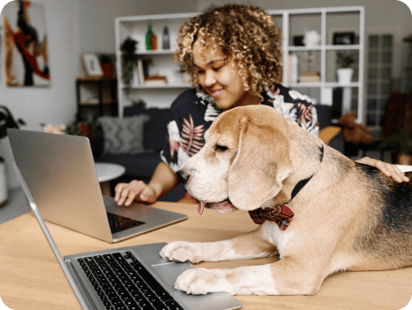 Cachorro deitado em uma mesa